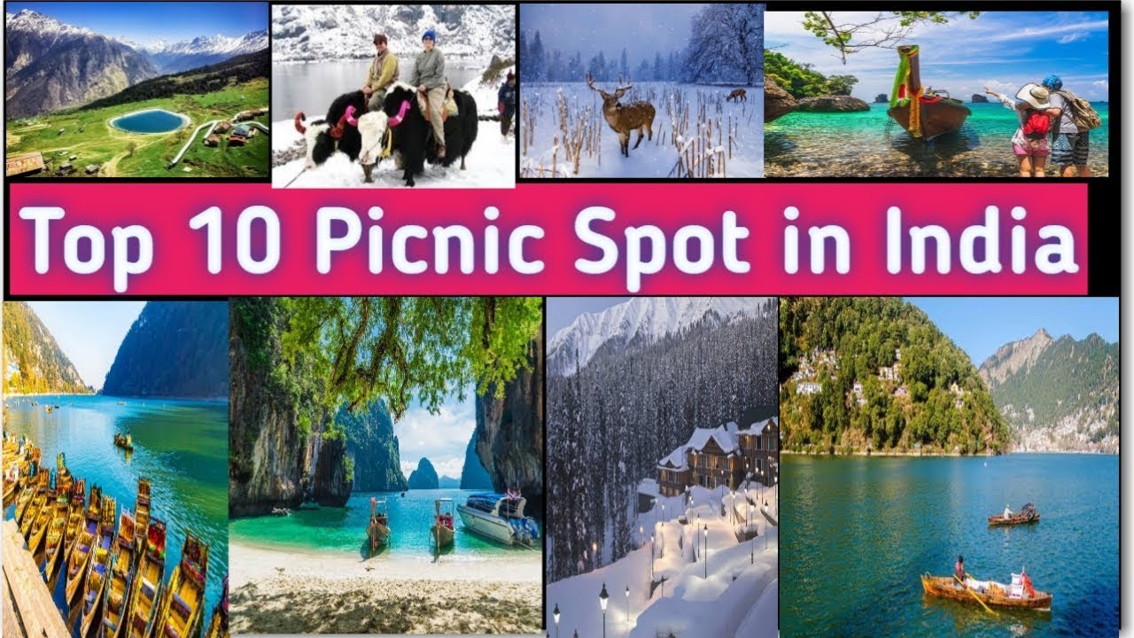 Top Picnic Spots In India: Uncover Hidden Gems and Scenic Beauty