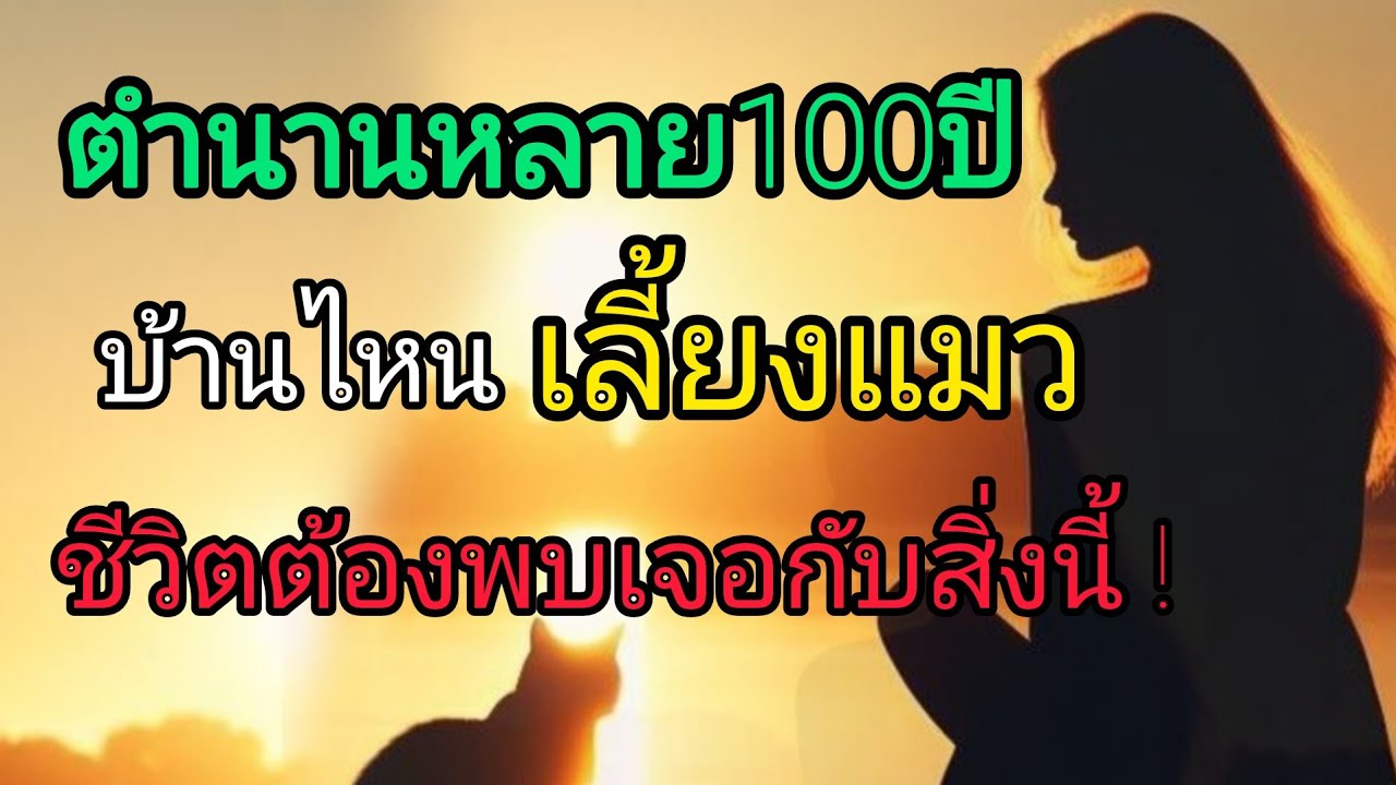 🔥สุดช็อก!!!เมื่อความจริงเปิดเผย⚡️บ้านไหนเลี้ยงแมว ชีวิตพบเจอแต่สิ่งนี้ไม่รู้จบ!#แมว#เลี้ยงแมว#รักแมว