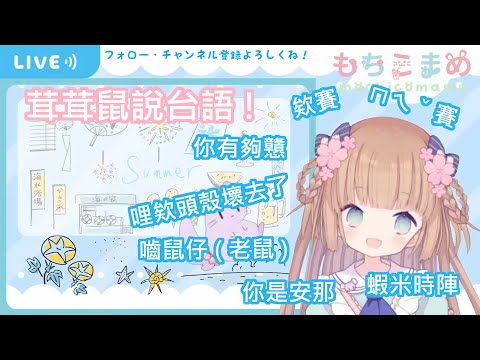 【茸茸鼠中文精華】天才！？茸茸鼠的台語程度連台灣人都自嘆不如！