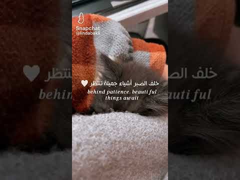 Behind Patience Beautiful Things Await