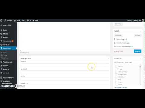 Perth theme -  creating CPTs