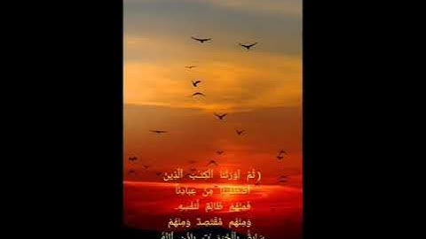 القارئ حسين هاني / ثُمَّ أَوۡرَثۡنَا ٱلۡكِتَـٰبَ ٱلَّذِینَ ٱصۡطَفَیۡنَا مِنۡ عِبَادِنَاۖ