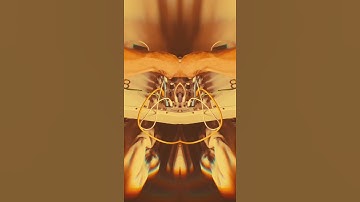 Noisy as I love #modularsynth #niftycase #shorts