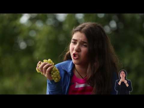 კლიპი 2015 წლის შუალედურ არჩევნებზე