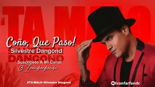 Video thumbnail of "Coño, ¿Que Paso? | Silvestre Dangond #TAMALO"