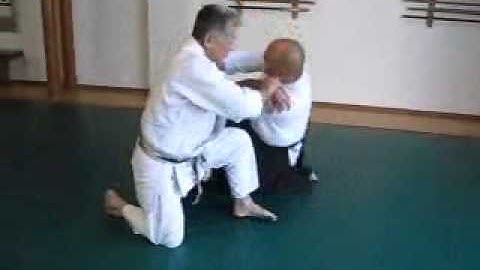 Hanmi Handachi Katatetori Shihonage Omote (static attack)