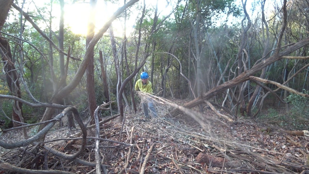 Nature Wonderland; carrying away the last bundle of 10 long skinny bamboo trees of the day 20260110