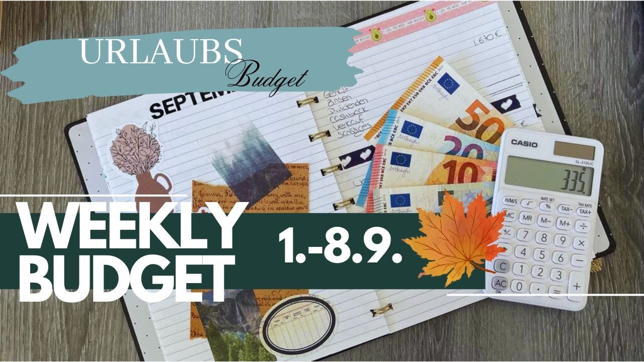 ☀️1. - 8.9. 📊 I WochenBudget I echte Einnahmen & Ausgaben I Weekly Budget