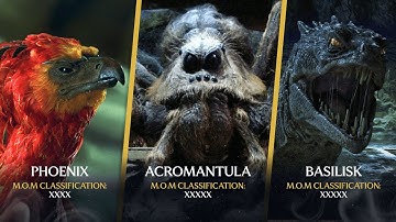 Magical Creatures Ranked By How Dangerous They Are | Harry Potter