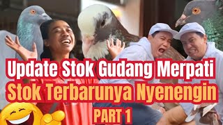 Update Stok Gudang Merpati Bang Dana – Nyenengin Hati !