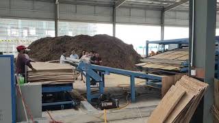 Roller veneer dryer for plywood production line with automatic loading