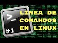 Comandos básicos en linux ls, cat, echo, mkdir, cd, pwd, clear