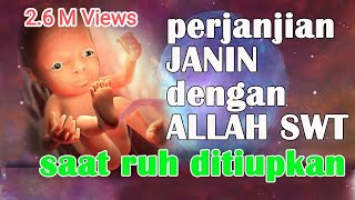 Reaksi Janin saat Ruh ditiupkan