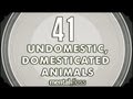 41 Undomestic, Domesticated Animals - mental_floss on YouTube (Ep.8)