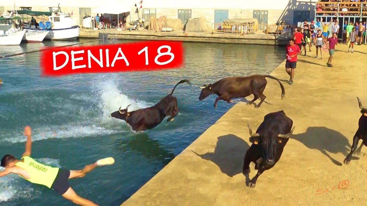 DENIA 18   Bous a la Mar  Ganadería Benavent