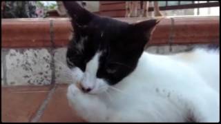 Emotionoftheday Created With