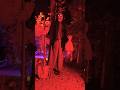 Amerikadan Salom Scary Forest Travel Halloween Forest Light Scary 