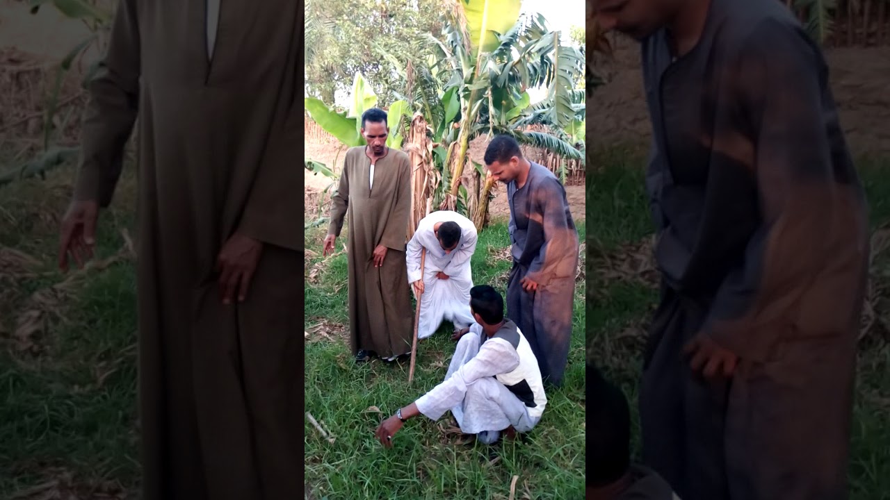 ٢٨ مايو، ٢٠٢٠