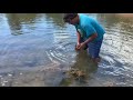 Man catches a crocodile using his bare hands
