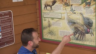 CPW wants your help to find a rare bird near Roxborough State Park