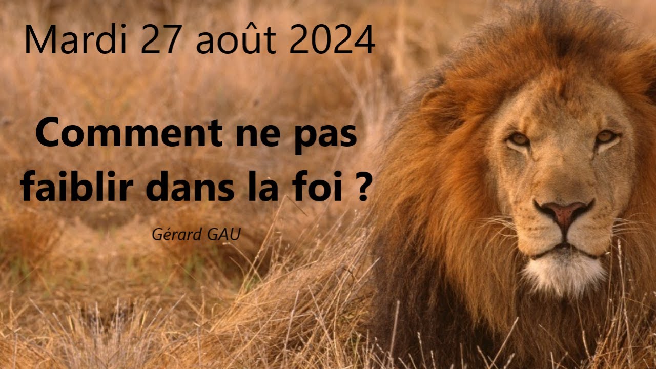 Mardi 27.08.2024 Comment ne pas faiblir dans la foi ? (Gérard GAU)