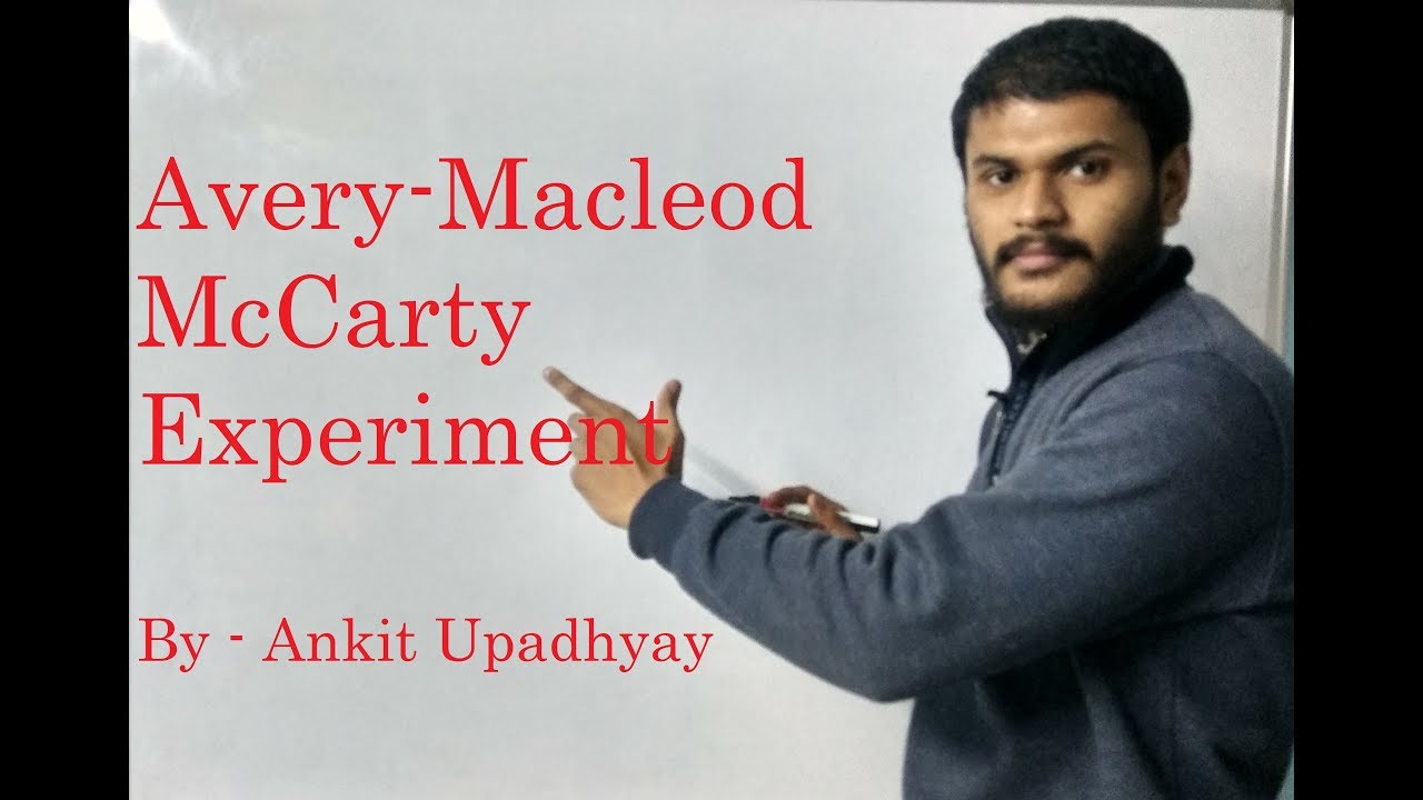 avery macleod mccarty experiment molecular biology part 2