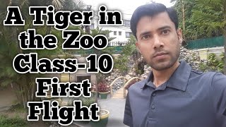 A Tiger in the Zoo