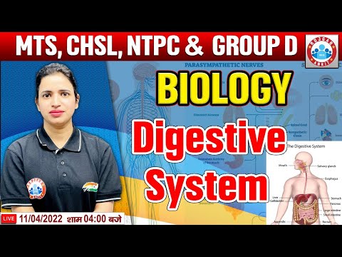 Digestive System In Biology | पाचन तंत्र | Biology For Group D/CHSL/MTS/CGL, Science By Bhawna Mam