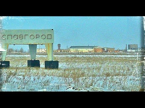Алтайский Край Купить Гусей На Развод Славгород
