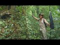 Dr. Julian Bayliss: The Lost Forest of Mount Mabu