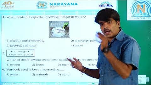 1ST SEP CLASS 5 CBSE SCIENCE AMAZING ASSIGNMENT KEY