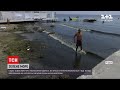 Новини України: в Одесі зацвіло море – купатися у такій воді не радять