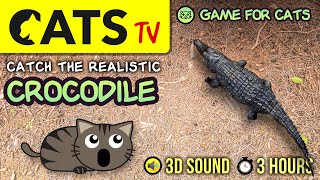 CAT GAMES  Realistic Crocodile  [CATS TV] Entertainment For Cats