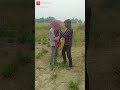 Filmy dialogue comedy//balbir bihari Whatsapp Status Video Download Free