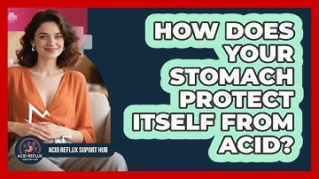 How Does Your Stomach Protect Itself From Acid? - Acid Reflux Support Hub