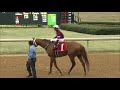 2017 Razorback Handicap Gr 3   $500,000 Gun Runner