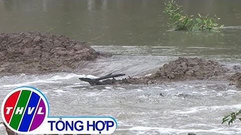 THVL | Triều cường gây nhiều thiệt hại tại Cà Mau