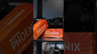 Is Harman Phoenix Just Lomo Redscale Lite?!