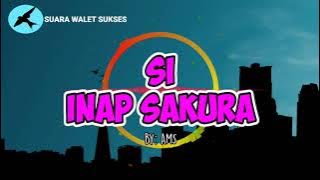 🔵SUARA INAP WALET SI INAP SAKURA‼️By: AMS, Suara Walet Sukses Terbukti...!!!🔊