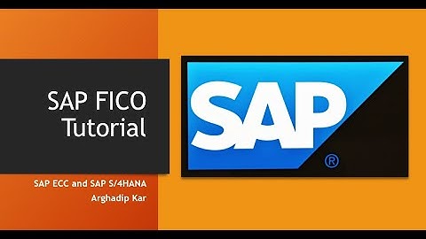 SAP FICO- How to do switch on Quick Cut Paste in SAP?
