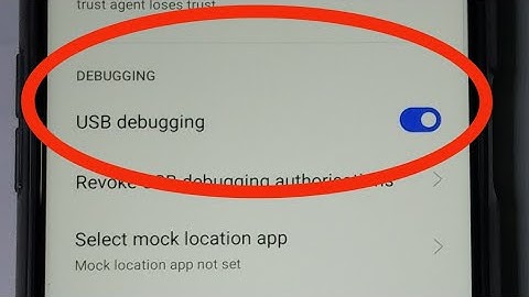 Realme 6 How to Enable USB Debugging