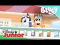 Bluey: El tronco y el salón de manicura | Disney Junior Oficial