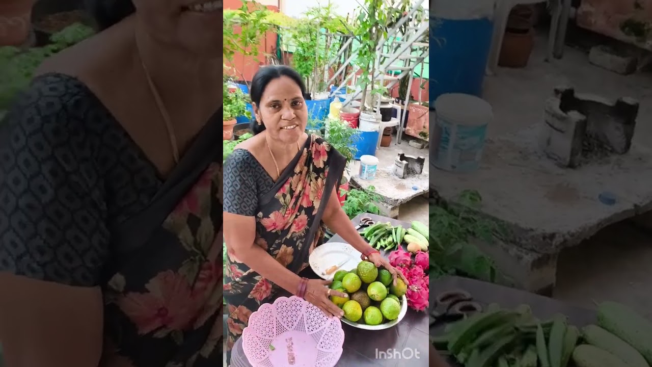 #terracegardening #organicgardening #anithakarunyagardens