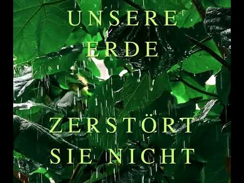 Wir haben nur