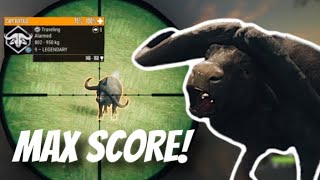 CRAZY Cape Buffalo Hunt!!! 2nd ever MAX SCORE!!! -The Hunter Cotw