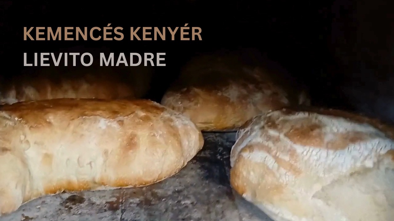 Kemencében sütött lievito madre kenyér – teljes folyamat (dagasztástól a sütésig)