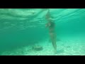 Тайланд САМУИ Ko Тао самый красивый подводный мир