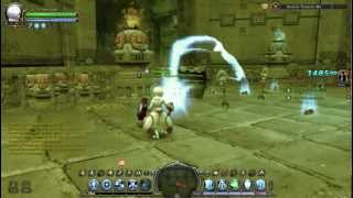 Dragon Nest Skill bug