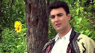 Constantin Magureanu - De-as putea mandruta mea