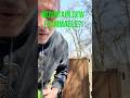 Mountain Dew is extremely flammable?!? #fire #mountaindew #shorts #viral